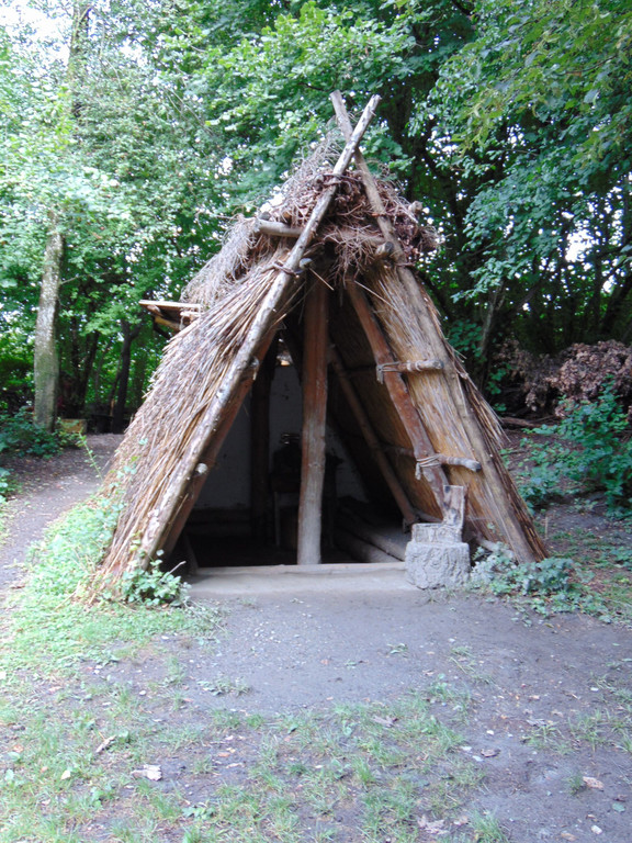 DSC07817.JPG