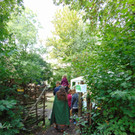 DSC07820.JPG
