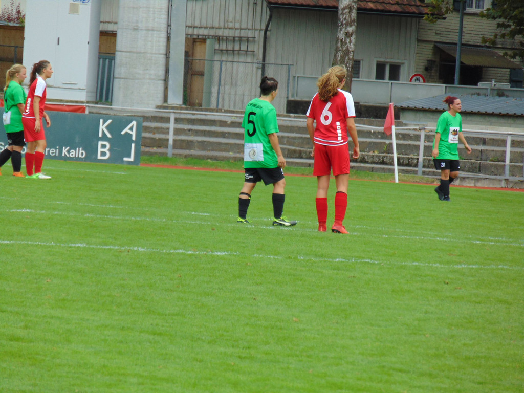 DSC07861.JPG