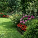 Hard Wolff G DSC01842.JPG