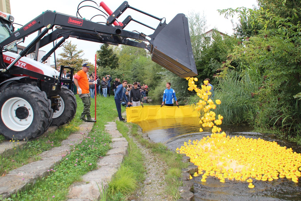 Duck Race 7.jpg