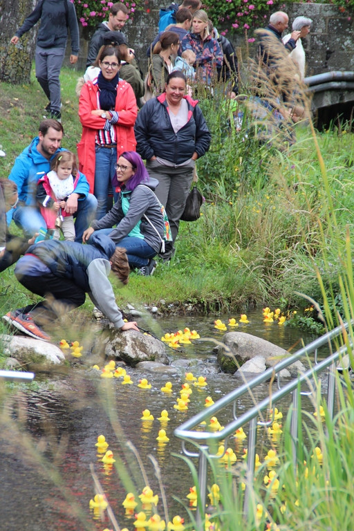 Duck Race 10.jpg