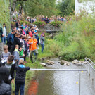 IMG_8132_jiw.jpg