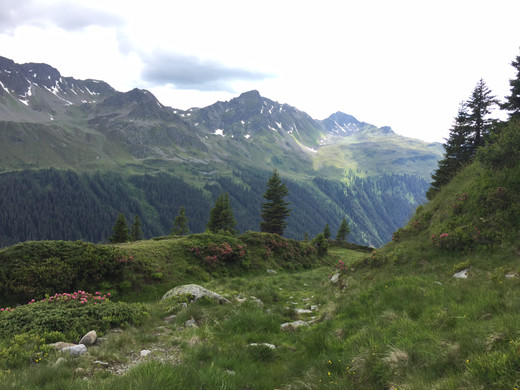 Blick ins Verwall.JPG