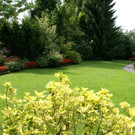 Hard Wolff G DSC01843.JPG