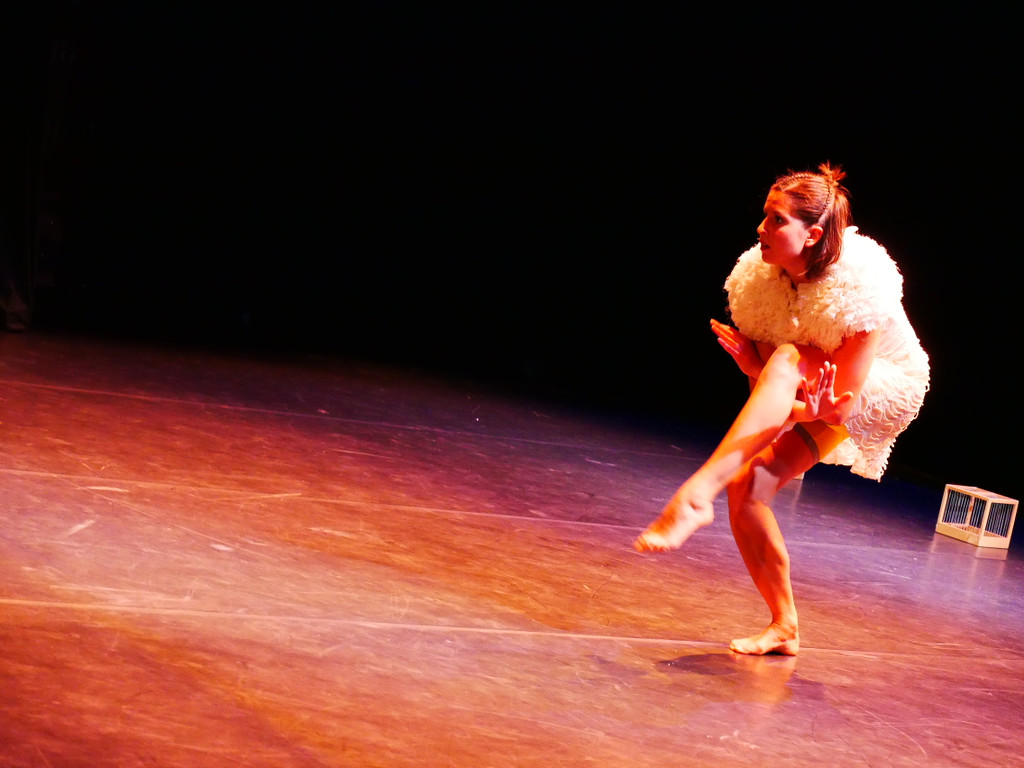 P1050926.JPG