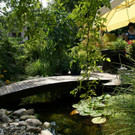 Hard W__rz G DSC01831.JPG