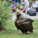 KindertraumWerfen200818 _8_.jpg