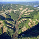 Japan_Earthquake_67678.jpg