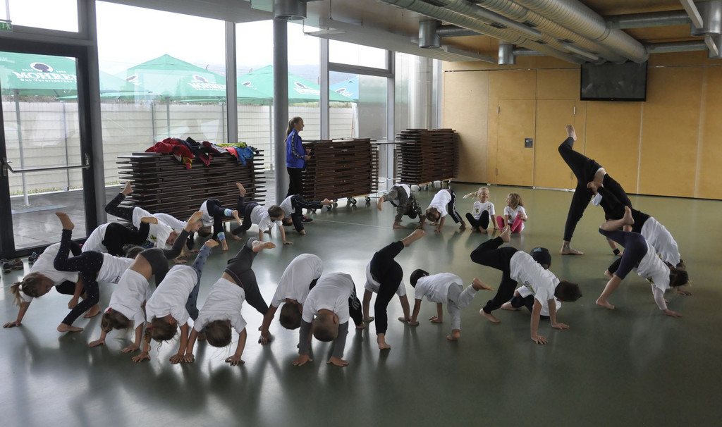Camp2018_Capoeira.jpg