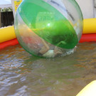 IMG_2431.JPG