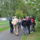 IMG_7849_JPG-1536474321.jpg