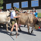 IMG_7876_JPG-1536488381.jpg