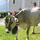 IMG_7888_JPG-1536488525.jpg