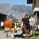 IMG_7889_JPG-1536488576.jpg