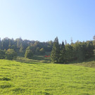 EV6A8897.jpg