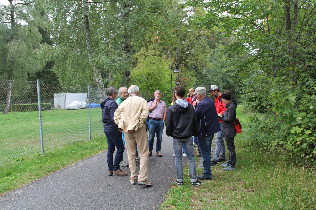 IMG_7849.JPG