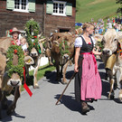 IMG_7875.JPG