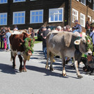 IMG_7880.JPG