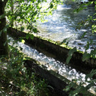 09092018fmt_holztrift_ui_00.jpg
