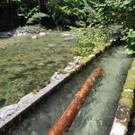 09092018fmt_holztrift_ui_06.jpg