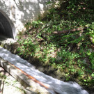 09092018fmt_holztrift_ui_10.jpg