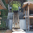 09092018fmt_holztrift_ui_18.jpg