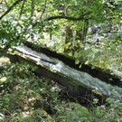 09092018fmt_holztrift_ui_20.jpg
