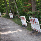 09092018fmt_holztrift_ui_21.jpg