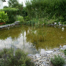 Lustenau  B__sch Klaus G DSC01907.JPG