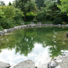 Lustenau B__sch Klaus G DSC01905.JPG