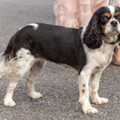 Runway Fashion Day _49 von 94_.jpg