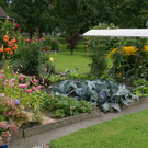 Lustenau K__nig Irmi G DSC01873.JPG