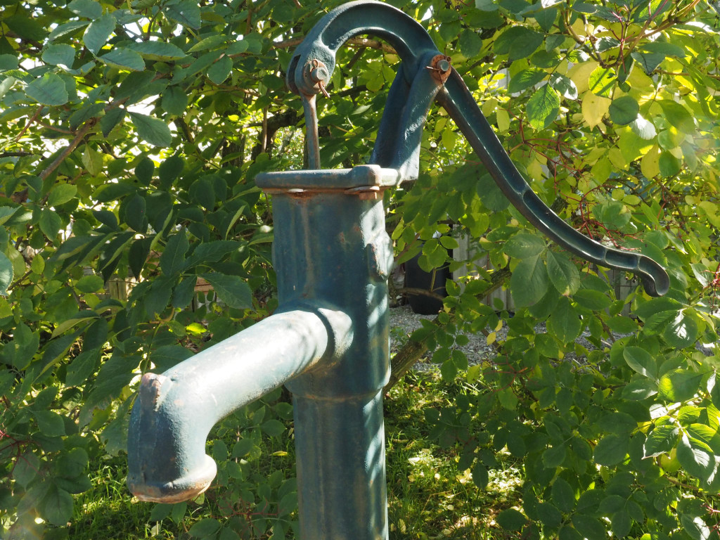 P9080011.JPG