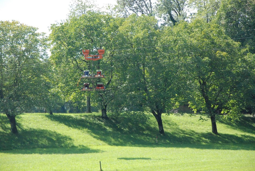 DSC_0268.jpg