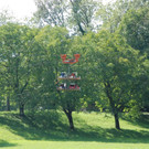 DSC_0269.jpg