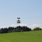 DSC_0336.jpg