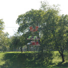 DSC_0355.jpg