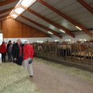 bild 11n.jpg
