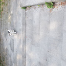 IMG-20180828-WA0002.jpeg
