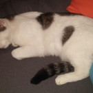 20160830_201030.jpg