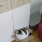CAM00432.jpg