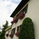 Lustenau Rhomberg G DSC01901.JPG