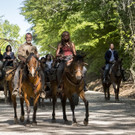 The Walking Dead.jpg