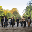 The Walking Dead-4.jpg