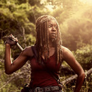 The Walking Dead-6.jpg