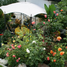 Schwarzach Mathis G DSC01925.JPG