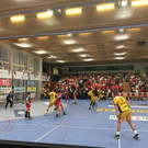 HC Hard gewinnt gegen Handball Bregenz
