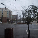 AFP_1936W2.jpg