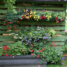 Wolfurt Tscherna G DSC01777.JPG